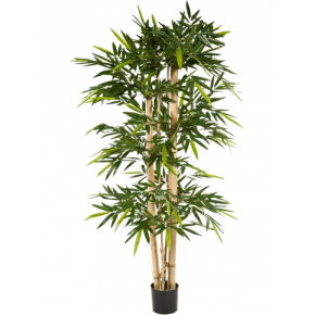 bamboo-branched-270cm