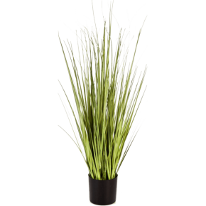 carex-grass-90cm