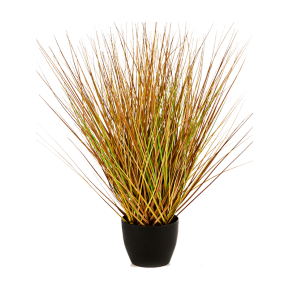 fountain-autumn-grass-50cm