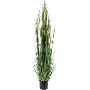 grai-grass-green-150cm