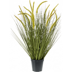 grass-cattail-bush-70cm