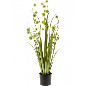 grass-pompom-85m