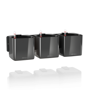 green-wall-home-kit-glossy-faszen