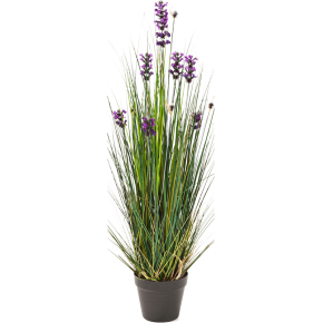 lavender-grass-90cm
