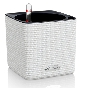 lechuza-cube-color-feher