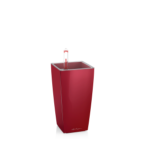 lechuza-mini-cubi-skarlat