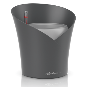 lechuza-orchidea-pala-matt