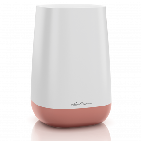 yula-flower-feher-rozsa_1127427230