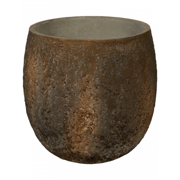 6ppnoys42-oyster-gillard-s-imperial-brown