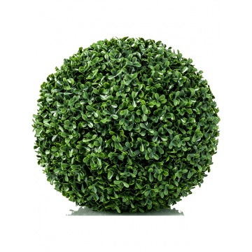 buxus-uv-38-8ee423378