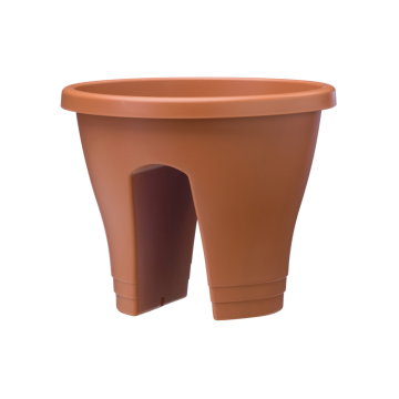 corsicaflowerbridge30cmterra8711904120573_p1