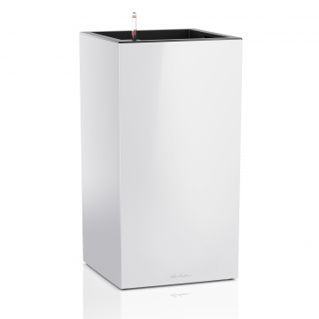 lechuza-canto-oszlop-fehr