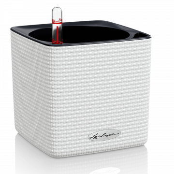 lechuza-cube-color-feher