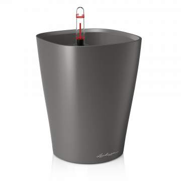 lechuza-deltini-antracit