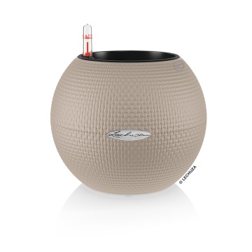 lechuza-puro-color20-sand-brown