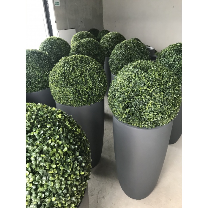48cm-mubuxus_1178922404