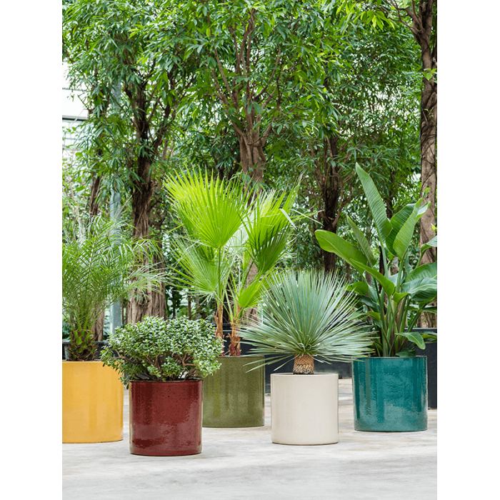 6cilg3030_1_182800161