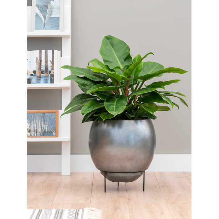 6mtlc48sb_1_1333150122