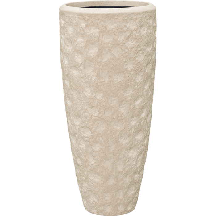 6poswpn31_1610293251