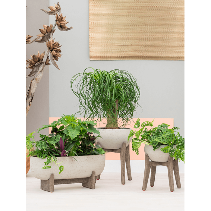 6ppnec002_1_452901532