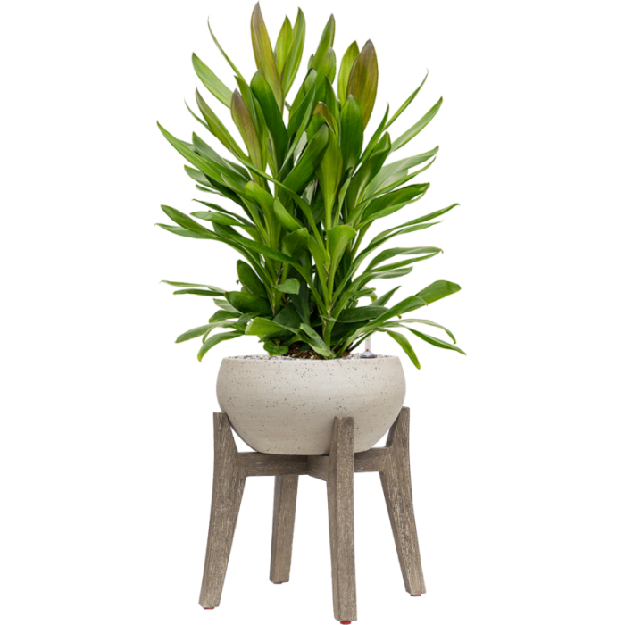 6ppnec006_2_2051325435