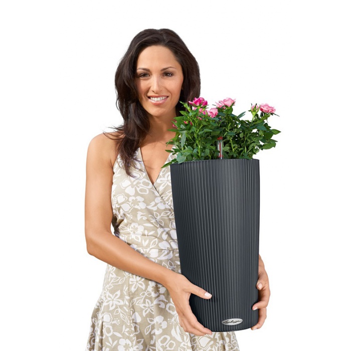 addi_cilindro_color_sd23_color_sgr_rosen_kristina_large_879432923