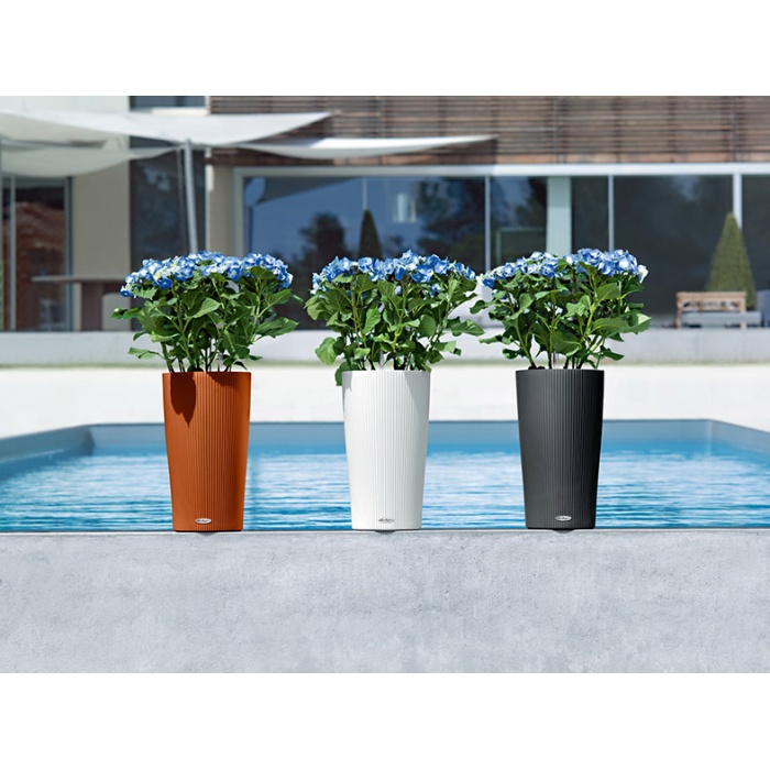 addi_cilindro_color_sd32_color_3_sgra_w_autumn_maple_hydrangea_large_942811912