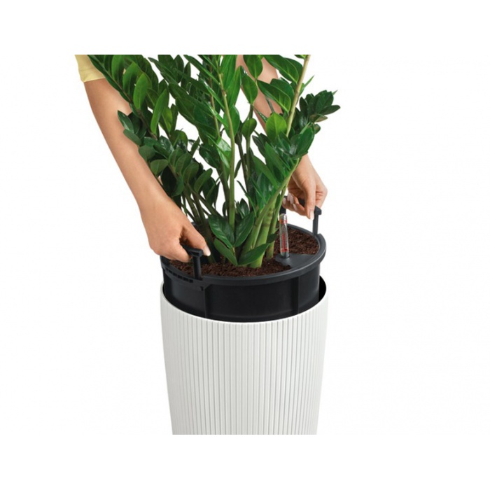 addi_cilindro_color_sd_color_w_ebs_dh_large_2099217852