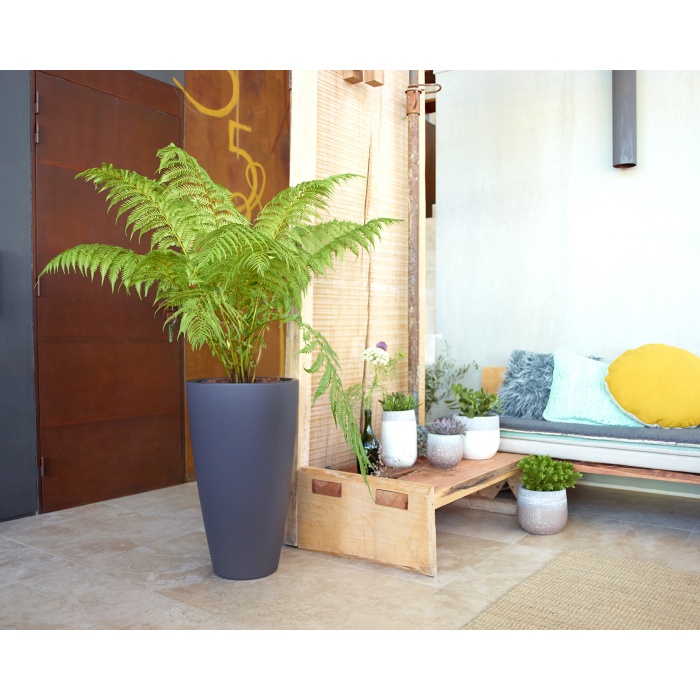 artevasi_havana_natural_noveny_356522725