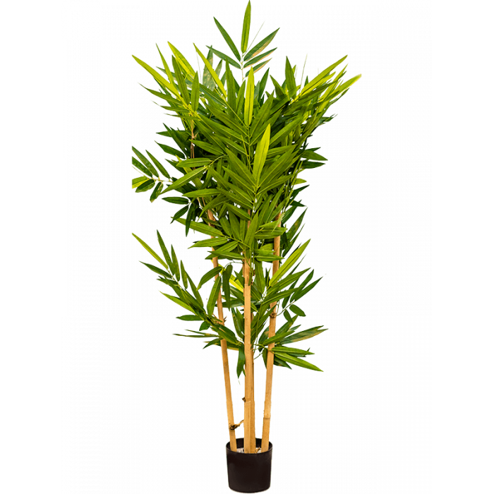 bamboo-column-120cm_1370226799