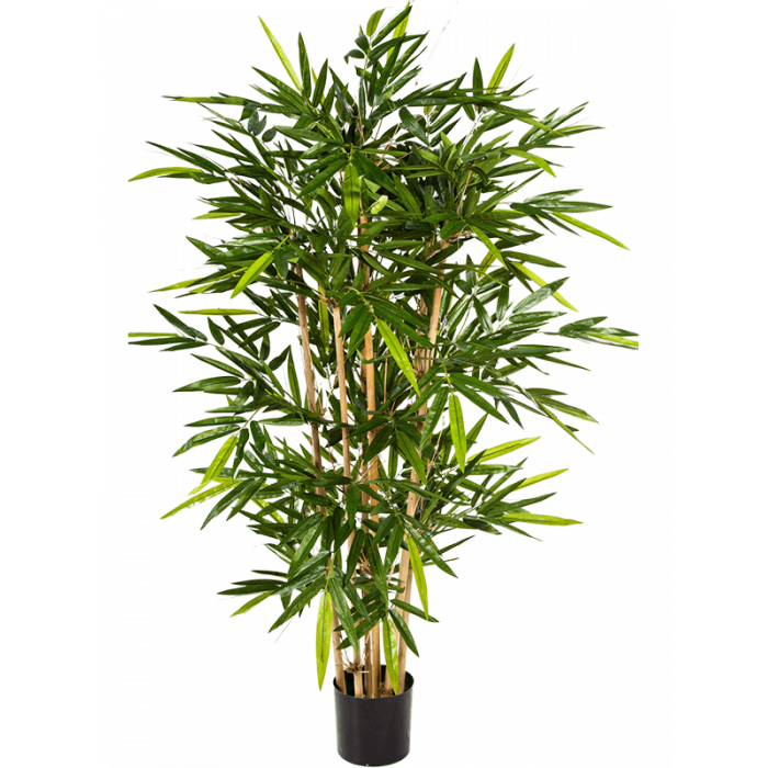 bamboo-column-150cm_219303254