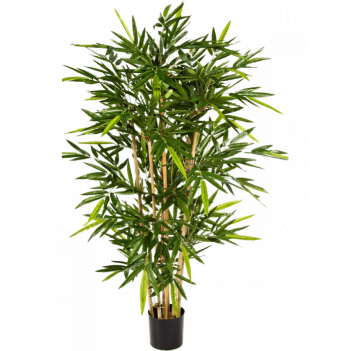 bamboo-column-240cm_1029578285
