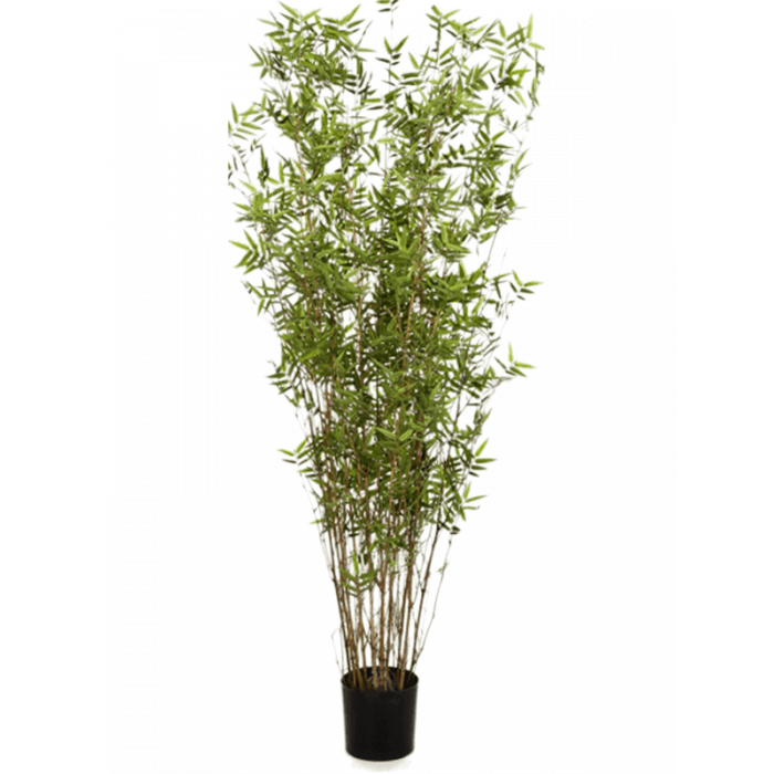 bamboo-oriental-column-130cm_1781781194