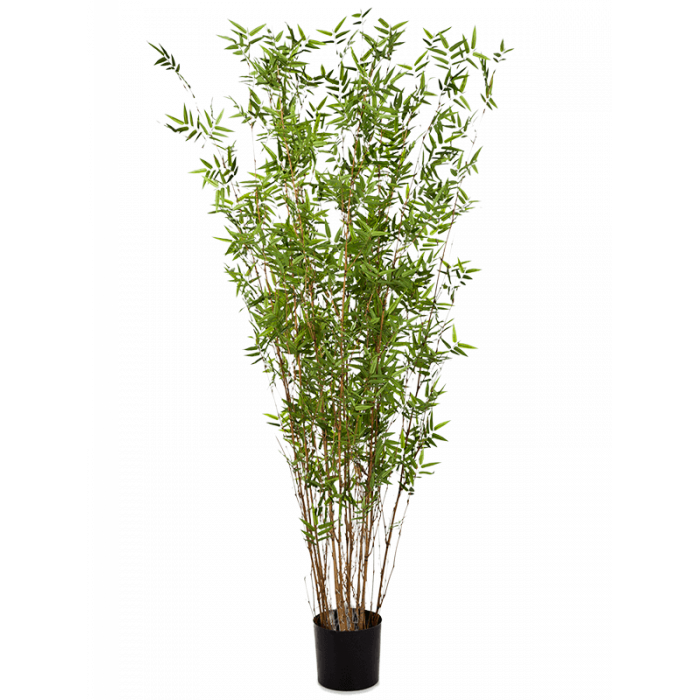 bamboo-oriental-column-190cm_2043980147