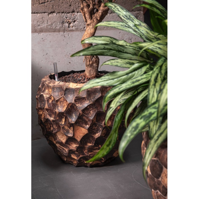 baq-facets-planters-_1256640984