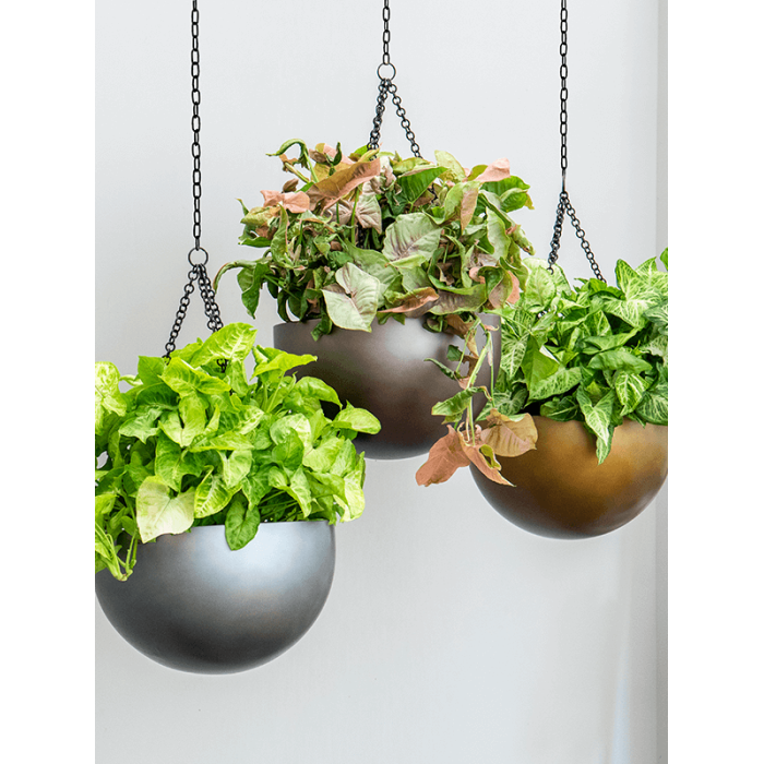 baq_gradient_hanging_bowl_matt_coffee_332_1042373046