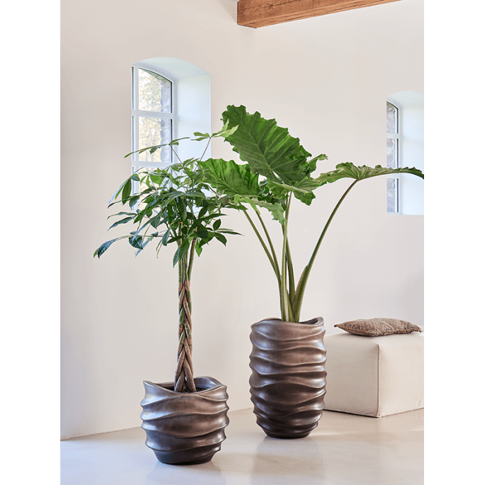 baq_gradient_lee_couple_matt_coffee_41x372_1504467859