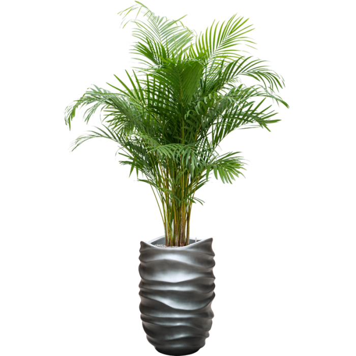 baq_gradient_lee_couple_matt_grey_40x612_1894231390