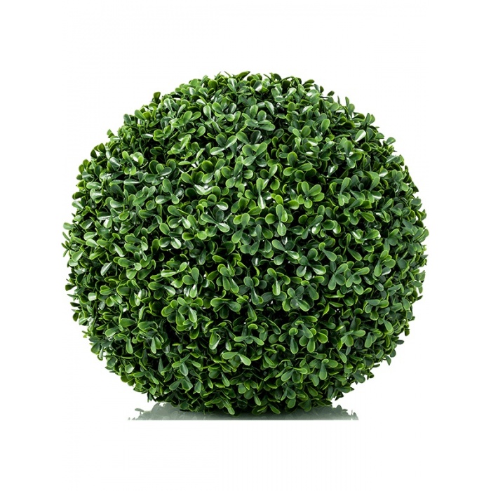 buxus-uv-38-8ee423378_1504995248