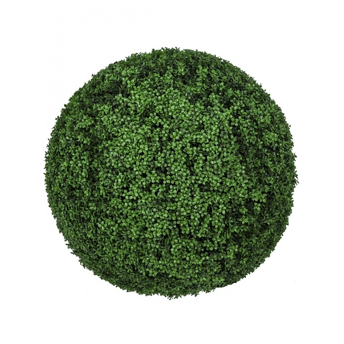 buxus-uv-90-8ppz10039_1956377695
