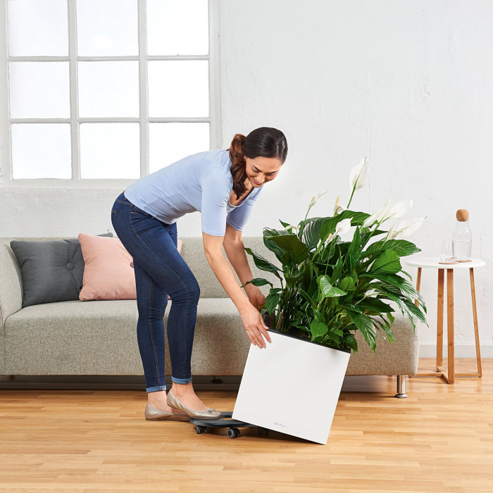 canto_premium_40_low_silver_metallic-picto_65297579