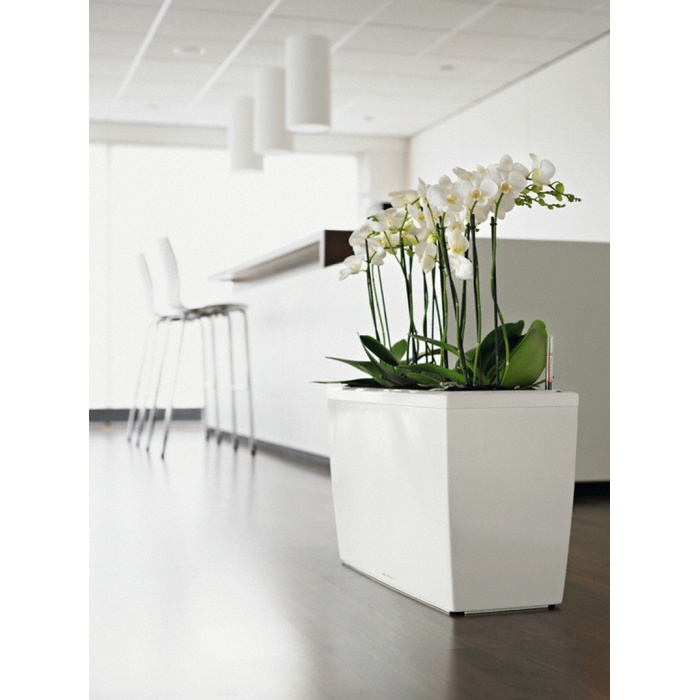 carraro10_1453859819