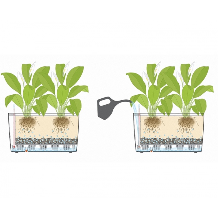 carraro12_1648926386