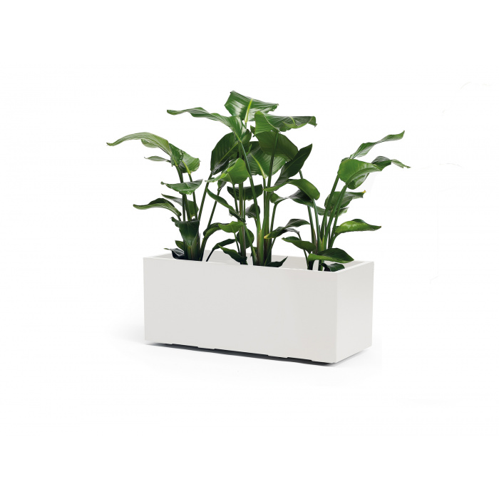 cassetta-kebe-white-lada_5