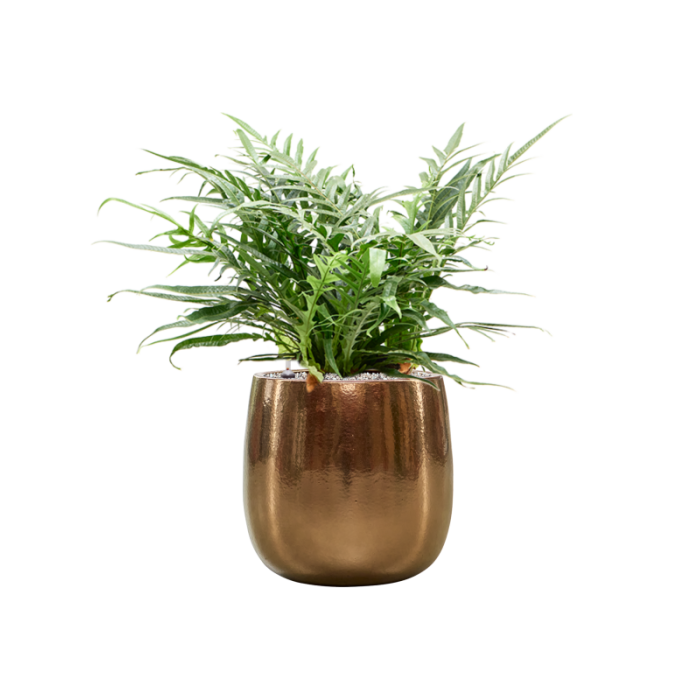 cc0045814_1341086399