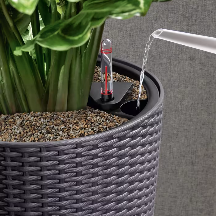 cilindro_cottage_23_m_800341436