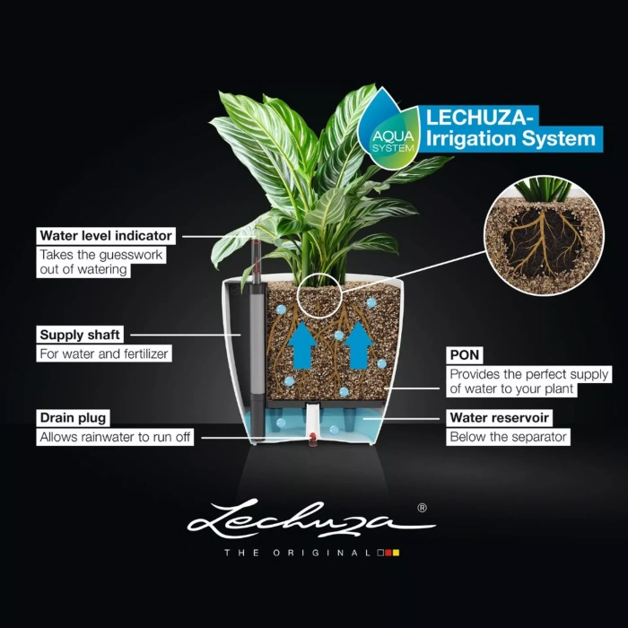 classico_color_50_246688474