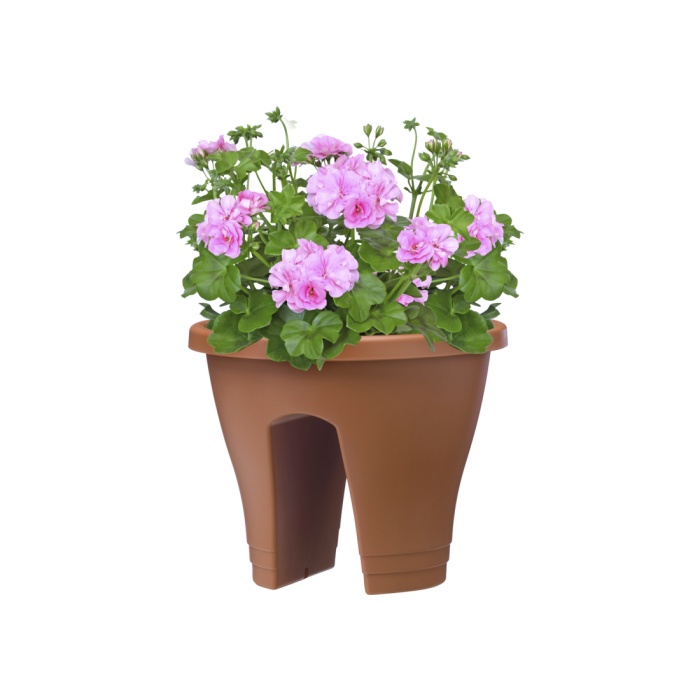 corsicaflowerbridgeterrapelargoniumpink_c1_701366682