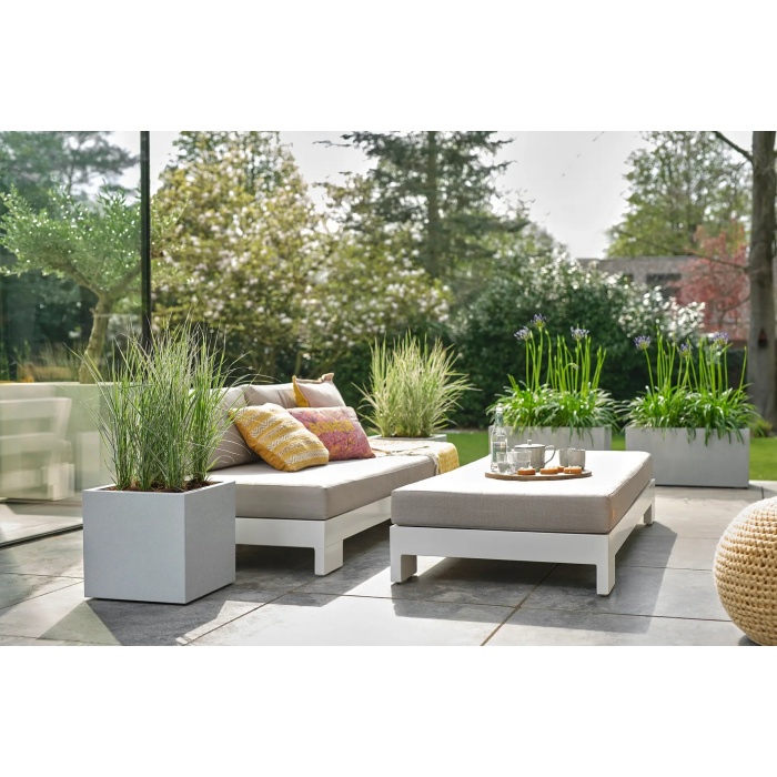 elho_vivo_next_1650091397