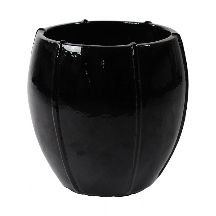 emperor-moda-55x55_1039114495